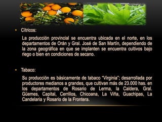 • Cítricos:
   La producción provincial se encuentra ubicada en el norte, en los
   departamentos de Orán y Gral. José de San Martín, dependiendo de
   la zona geográfica en que se implanten se encuentra cultivos bajo
   riego o bien en condiciones de secano.


• Tabaco:
   Su producción es básicamente de tabaco “Virginia”; desarrollada por
   productores medianos a grandes, que cultivan más de 23.000 has. en
   los departamentos de Rosario de Lerma, la Caldera, Gral.
   Güemes, Capital, Cerrillos, Chicoana, La Viña, Guachipas, La
   Candelaria y Rosario de la Frontera.
 