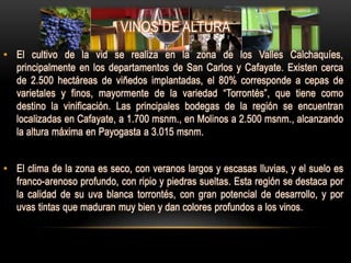 VINOS DE ALTURA
• El cultivo de la vid se realiza en la zona de los Valles Calchaquíes,
  principalmente en los departamentos de San Carlos y Cafayate. Existen cerca
  de 2.500 hectáreas de viñedos implantadas, el 80% corresponde a cepas de
  varietales y finos, mayormente de la variedad “Torrontés”, que tiene como
  destino la vinificación. Las principales bodegas de la región se encuentran
  localizadas en Cafayate, a 1.700 msnm., en Molinos a 2.500 msnm., alcanzando
  la altura máxima en Payogasta a 3.015 msnm.


• El clima de la zona es seco, con veranos largos y escasas lluvias, y el suelo es
  franco-arenoso profundo, con ripio y piedras sueltas. Esta región se destaca por
  la calidad de su uva blanca torrontés, con gran potencial de desarrollo, y por
  uvas tintas que maduran muy bien y dan colores profundos a los vinos.
 