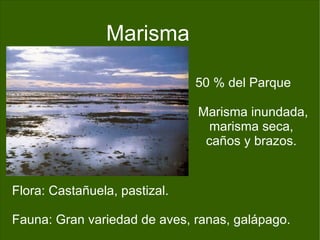 Espacio húmedo y resguardado del viento Flora:  Pino piñonero ,  retama ,  lentisco . Fauna:  Lince ,  jabalí ,  conejo . 