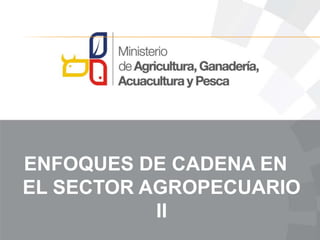 ENFOQUES DE CADENA EN
EL SECTOR AGROPECUARIO
II
 