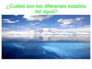 ¿Cuáles son los diferentes estados del agua? 