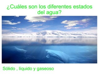 ¿Cuáles son los diferentes estados del agua? Sólido , líquido y gaseoso 