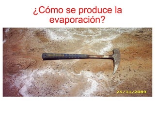 ¿Cómo se produce la evaporación? 