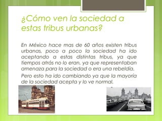 ¿Cómo ven la sociedad a
estas tribus urbanas?
En México hace mas de 60 años existen tribus
urbanas, poco a poco la sociedad ha ido
aceptando a estas distintas tribus, ya que
tiempos atrás no lo eran, ya que representaban
amenaza para la sociedad o era una rebeldía.
Pero esto ha ido cambiando ya que la mayoría
de la sociedad acepta y lo ve normal.
 