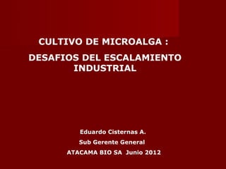 CULTIVO DE MICROALGA :
DESAFIOS DEL ESCALAMIENTO
       INDUSTRIAL




         Eduardo Cisternas A.
         Sub Gerente General
      ATACAMA BIO SA Junio 2012
 
