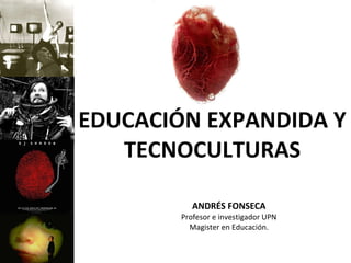 EDUCACIÓN EXPANDIDA Y TECNOCULTURAS ANDRÉS FONSECA Profesor e investigador UPN Magister en Educación. 