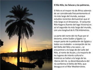 El Río Nilo, las falucas y las palmeras.
El Nilo es el mayor río de África además
de ser considerado frecuentemente el
río más largo del mundo, aunque
estudios recientes demuestran que el
más largo es el Amazonas. El conjunto
Nilo-Kagera (fuente del lago Victoria) es
así el segundo río más largo del mundo,
con una longitud de 6.756 kilómetros.
La parte del norte del río fluye por el
desierto, entre Sudán y Egipto. La
mayor parte de la población de Egipto y
todas sus ciudades –a excepción de las
del Delta del Nilo y los oasis–, se
encuentran a lo largo de del valle del
Nilo, al norte de Asuán, y la mayoría de
los lugares de interés cultural e
histórico se hallan a lo largo de las
riberas del río. La desembocadura del
río conforma el Delta del Nilo, que
desagua en el Mar Mediterráneo.
 
