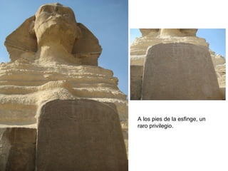 A los pies de la esfinge, un
raro privilegio.
 