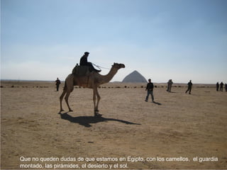 Que no queden dudas de que estamos en Egipto, con los camellos, el guardia
montado, las pirámides, el desierto y el sol.
 