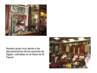 Nuestro grupo muy atento a las
demostraciones de las esencias de
Egipto, cultivadas en el Oasis de El
Fayum
 
