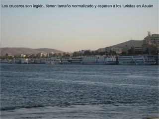 Los cruceros son legión, tienen tamaño normalizado y esperan a los turistas en Asuán
 