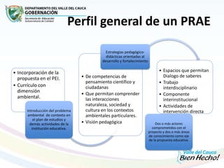 Perfil general de un PRAE
• Incorporación de la
propuesta en el PEI.
• Currículo con
dimensión
ambiental.
Introducción del problema
ambiental de contexto en
el plan de estudios y
demás actividades de la
institución educativa.
• De competencias de
pensamiento científico y
ciudadanas
• Que permitan comprender
las interacciones
naturaleza, sociedad y
cultura en los contextos
ambientales particulares.
• Visión pedagógica
Estrategias pedagógico-
didácticas orientadas al
desarrollo y fortalecimiento
• Espacios que permitan
Dialogo de saberes
• Trabajo
interdisciplinario
• Componente
interinstitucional
• Actividades de
intervención directa
Dos o más actores
comprometidos con el
proyecto y dos o más áreas
de conocimiento como eje
de la propuesta educativa.
 