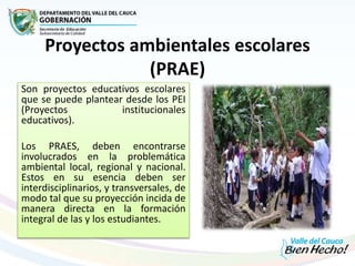 Proyectos ambientales escolares
(PRAE)
Son proyectos educativos escolares
que se puede plantear desde los PEI
(Proyectos institucionales
educativos).
Los PRAES, deben encontrarse
involucrados en la problemática
ambiental local, regional y nacional.
Estos en su esencia deben ser
interdisciplinarios, y transversales, de
modo tal que su proyección incida de
manera directa en la formación
integral de las y los estudiantes.
 