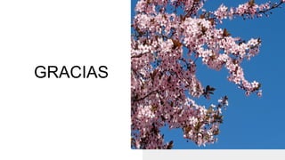 GRACIAS
 