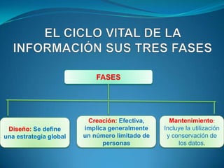 FASES




                         Creación: Efectiva,      Mantenimiento:
 Diseño: Se define      implica generalmente    Incluye la utilización
una estrategia global   un número limitado de    y conservación de
                              personas               los datos.
 