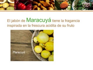 El jabón de Maracuyá tiene la fragancia
inspirada en la frescura acidita de su fruto
 