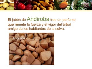 El jabón de Andiroba trae un perfume
que remete la fuerza y el vigor del árbol
amigo de los habitantes de la selva.
 