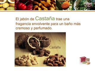 El jabón de Castaña trae una
fragancia envolvente para un baño más
cremoso y perfumado.
 