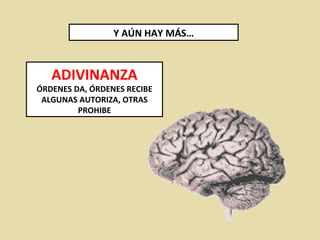 Y AÚN HAY MÁS… ADIVINANZA ÓRDENES DA, ÓRDENES RECIBE ALGUNAS AUTORIZA, OTRAS PROHIBE 