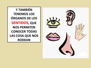 Y TAMBIÉN TENEMOS LOS ÓRGANOS DE LOS  SENTIDOS , QUE NOS PERMITEN CONOCER TODAS LAS COSA QUE NOS RODEAN 