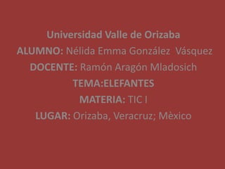 Universidad Valle de Orizaba
ALUMNO: Nélida Emma González Vásquez
  DOCENTE: Ramón Aragón Mladosich
          TEMA:ELEFANTES
           MATERIA: TIC I
   LUGAR: Orizaba, Veracruz; Mèxico
 