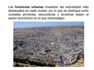 Las funciones urbanas muestran las actividades más
destacadas en cada ciudad, por lo que se distingue entre
ciudades primarias, secundarias y terciarias según el
sector económico en el que sobresalgan.
 