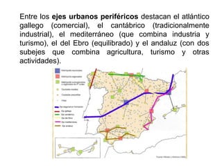 Entre los ejes urbanos periféricos destacan el atlántico
gallego (comercial), el cantábrico (tradicionalmente
industrial), el mediterráneo (que combina industria y
turismo), el del Ebro (equilibrado) y el andaluz (con dos
subejes que combina agricultura, turismo y otras
actividades).
 