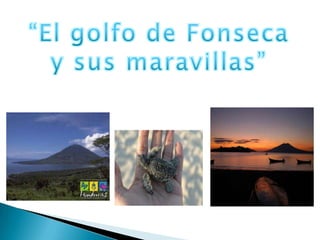 “El golfo de Fonseca y sus maravillas” 