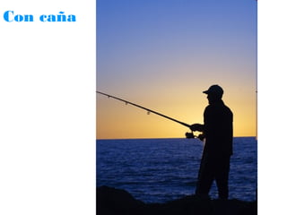 Con caña

 
