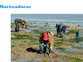 Mariscadoras

 