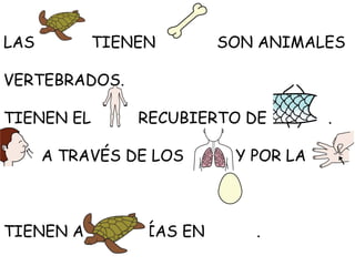 LAS

TIENEN

SON ANIMALES

VERTEBRADOS.
TIENEN EL

RECUBIERTO DE

A TRAVÉS DE LOS

TIENEN A SUS CRÍAS EN

Y POR LA

.

.

 