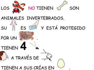 LOS

NO TIENEN

SON

ANIMALES INVERTEBRADOS.
SU

ES

POR UN

Y ESTÁ PROTEGIDO
.

TIENEN

.

A TRAVÉS DE
TIENEN A SUS CRÍAS EN

.
.

 