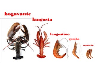 bogavante

langosta
langostino
gamba
camarón

 