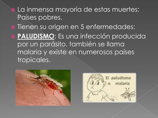  La inmensa mayoría de estas muertes:
Países pobres.
 Tienen su origen en 5 enfermedades:
 PALUDISMO: Es una infección producida
por un parásito. también se llama
malaria y existe en numerosos países
tropicales.
 