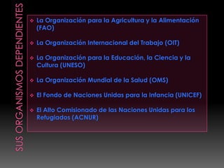  La Organización para la Agricultura y la Alimentación
(FAO)
 La Organización Internacional del Trabajo (OIT)
 La Organización para la Educación, la Ciencia y la
Cultura (UNESO)
 La Organización Mundial de la Salud (OMS)
 El Fondo de Naciones Unidas para la Infancia (UNICEF)
 El Alto Comisionado de las Naciones Unidas para los
Refugiados (ACNUR)
 