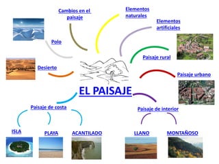 Cambios en el
paisaje

Elementos
naturales
Elementos
artificiales

Polo
Paisaje rural

Desierto
Paisaje urbano

EL PAISAJE...