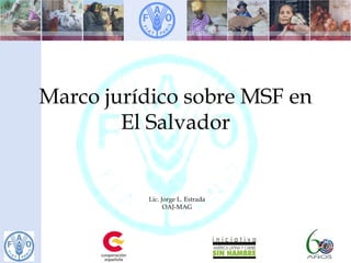 Marco jurídico sobre MSF en
El Salvador
Lic. Jorge L. Estrada
OAJ-MAG
 