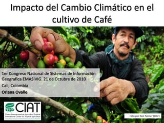 Impacto del Cambio Climático en el
cultivo de Café
1er Congreso Nacional de Sistemas de Información
Geografica EMASIVIG. 21 de Octubre de 2010
Cali, Colombia
Oriana Ovalle
Foto por Neil Palmer (CIAT)
 