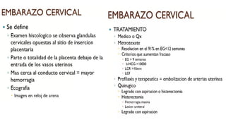 Comprehensive Overview of Early Pregnancy Complications and Management ...