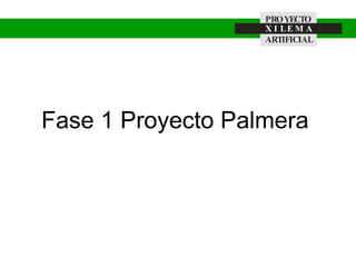 Fase 1 Proyecto Palmera 