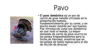 Pavo
• El pavo doméstico es un ave de
corral de gran tamaño utilizada en la
alimentación humana,
fundamentalmente por su carne, y en
mucha menor medida por sus huevos.
Fue introducido como ave doméstica
en casi todo el mundo. La mayor
demanda de carne de pavo ocurre en
los países hispanohablantes para la
fecha de Navidad, mientras que en
los países de habla inglesa para el día
de Acción de Gracias.
 