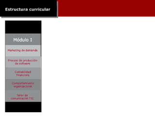 Estructura curricular 