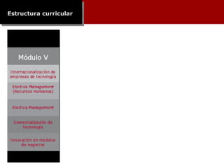 Estructura curricular 