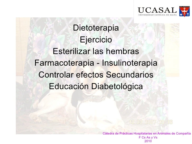 Presentación endócrino Presentación endócrino