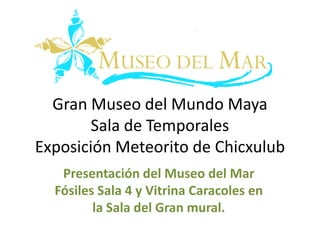 Gran Museo del Mundo Maya
        Sala de Temporales
Exposición Meteorito de Chicxulub
   Presentación del Museo del Mar
  Fósiles Sala 4 y Vitrina Caracoles en
         la Sala del Gran mural.
 