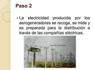Paso 2
 La electricidad producida por los
aerogeneradores se recoge, se mide y
es preparada para la distribución a
través...