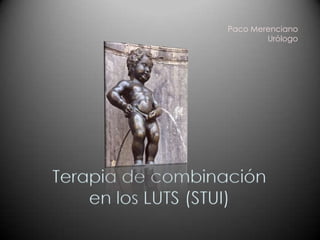Paco Merenciano
                          Urólogo




Terapia de combinación
    en los LUTS (STUI)
 