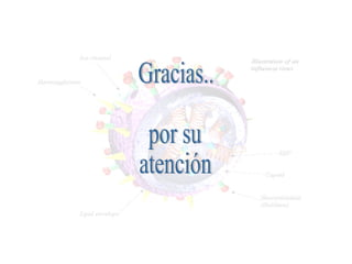 Gracias..  por su  atención  