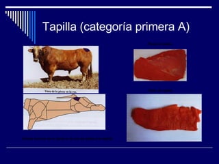 Tapilla (categoría primera A) Silueta externa de la canal en la que se destaca la tapilla. Filete de tapilla Pieza de tapilla 