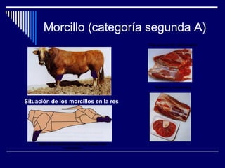 Morcillo (categoría segunda A) Situación de los morcillos en la res   Vista de la canal en la que se resaltan los morcillos. Vista de morcillo deshuesado. Morcillo y ossobucco. 